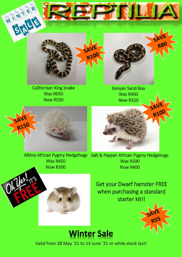 Specials Exotic Pet Store