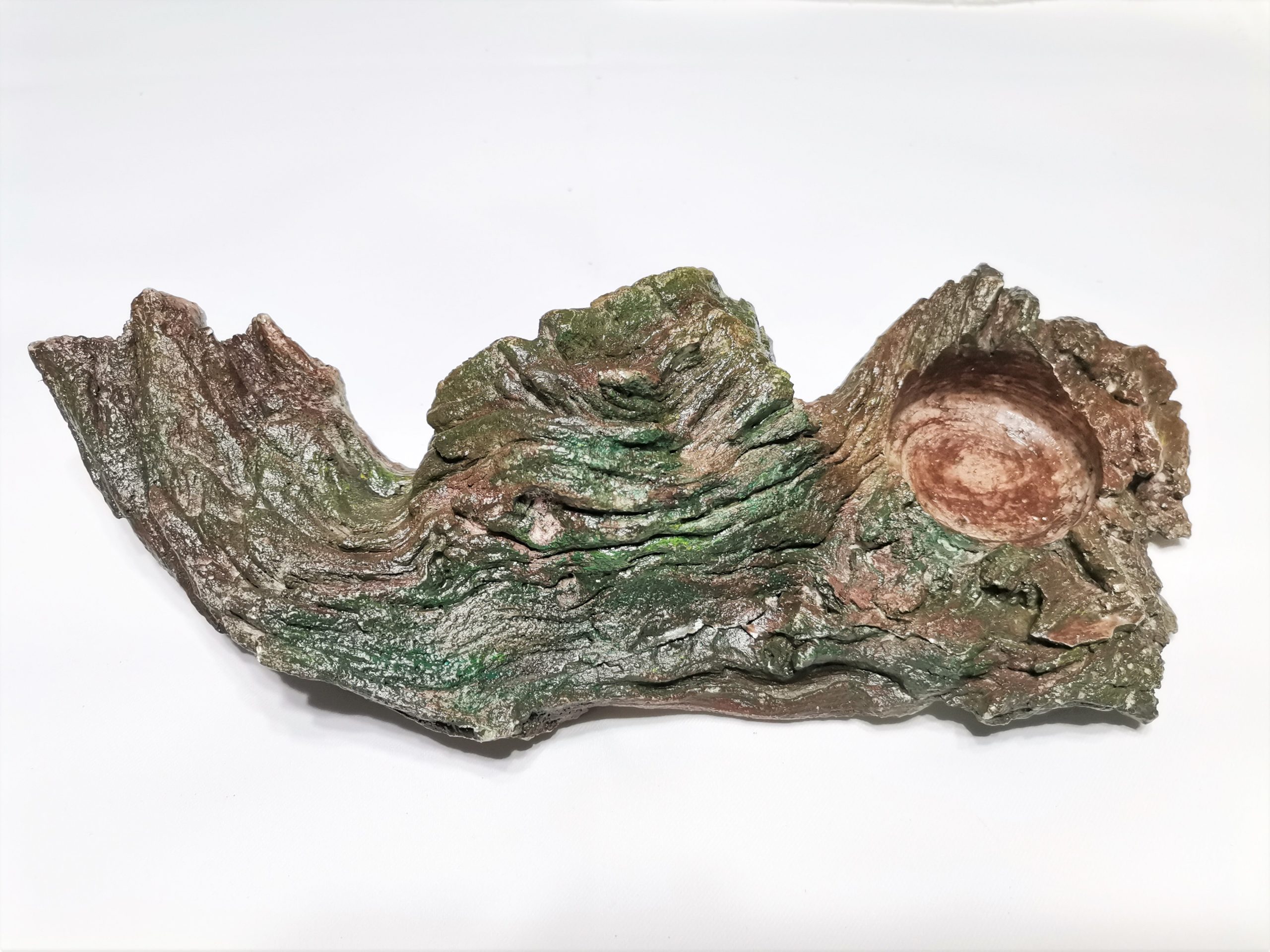 Feeding Ledge Small Exotic Pet Store