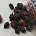 Rose Hips