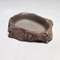 Water Dish - Medium