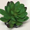 Artificial Plant - 147326
