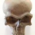 Skull 6.5x9x8cm