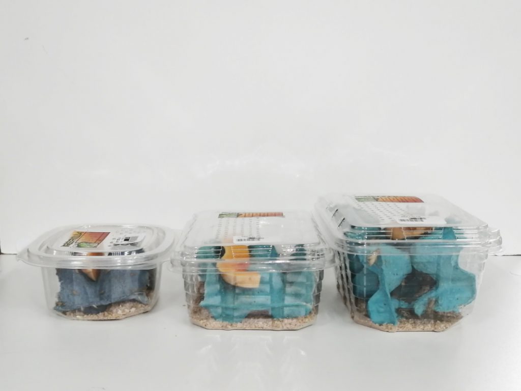 Crickets Exotic Pet Store