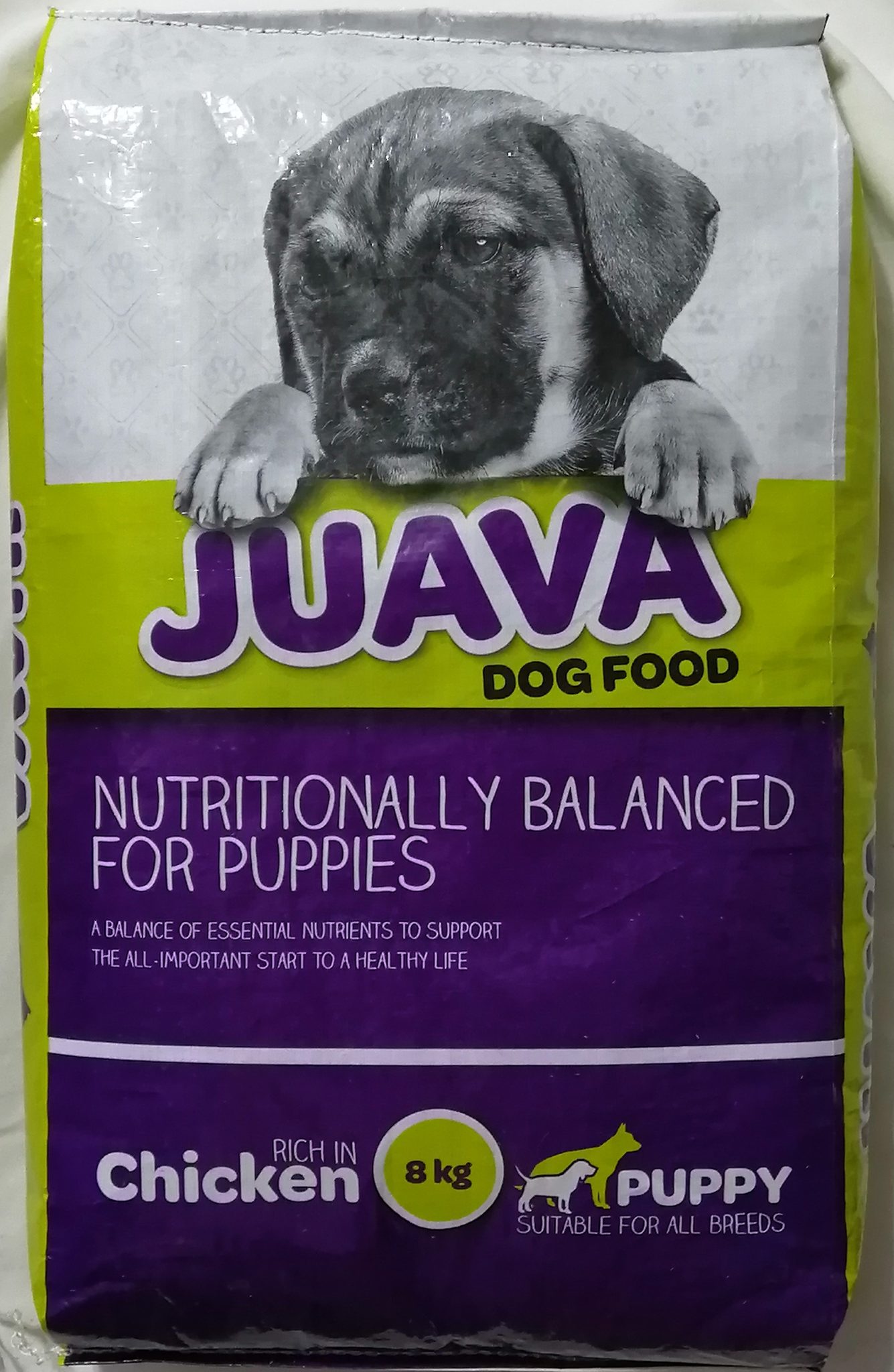 Juava Puppy Exotic Pet Store