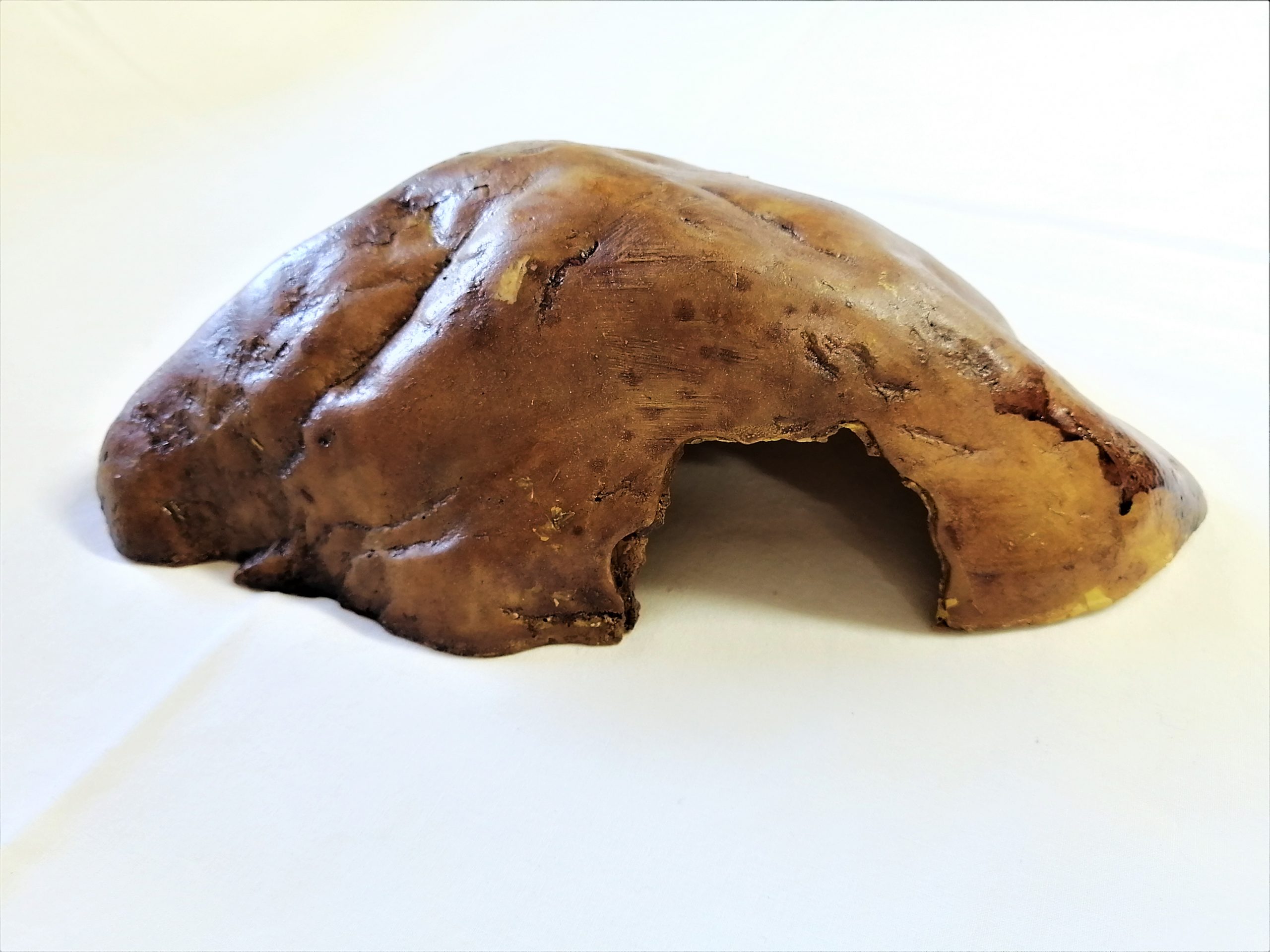 Exo Terra Hide Medium Exotic Pet Store