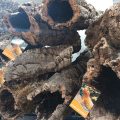 cork bark