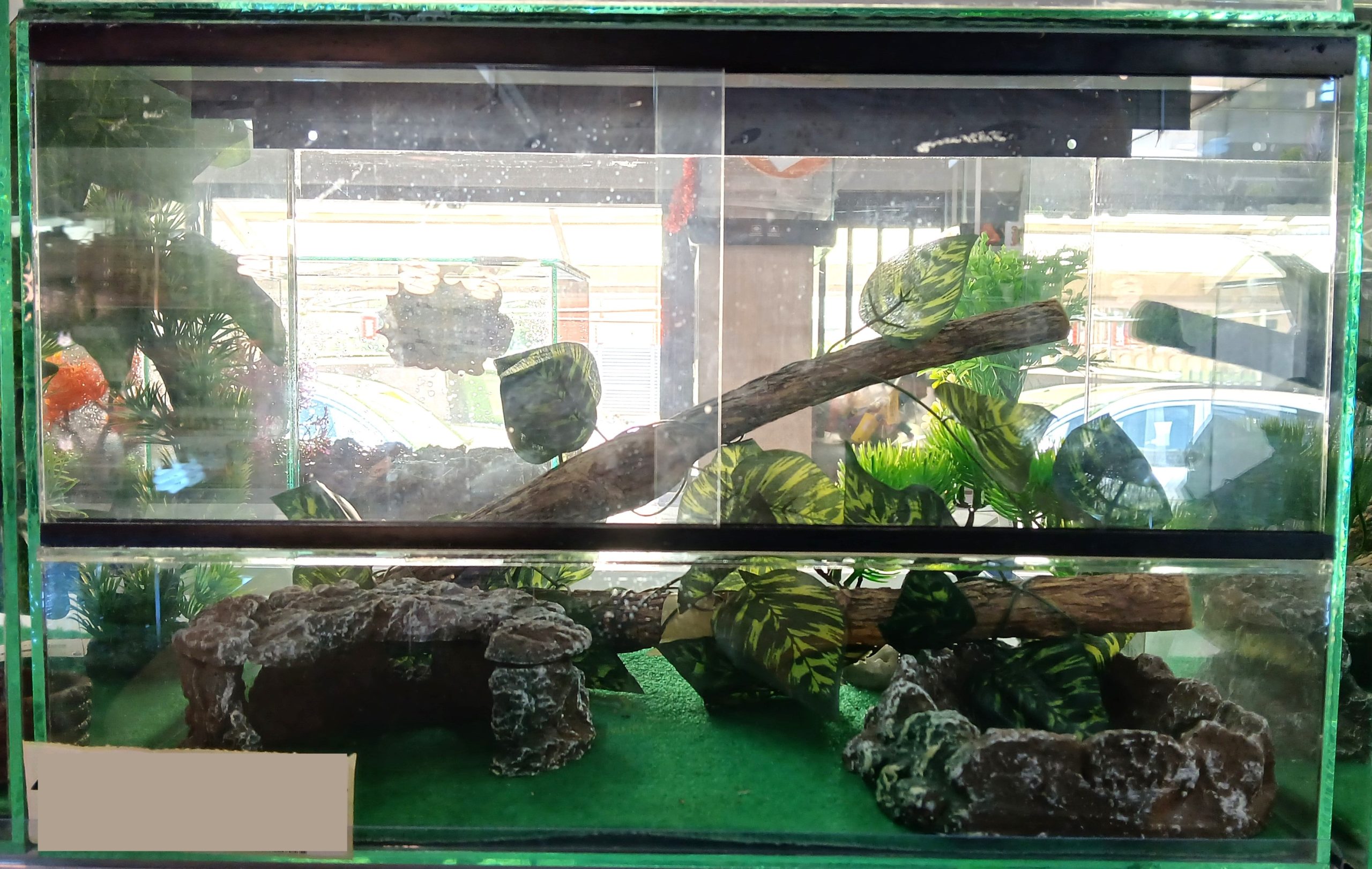 Large Arboreal – Double Slide – Vent 25x25x40CM