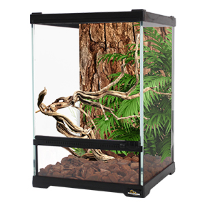 Mclanzoo 30x30x45H Glass Terrarium Dual Doors