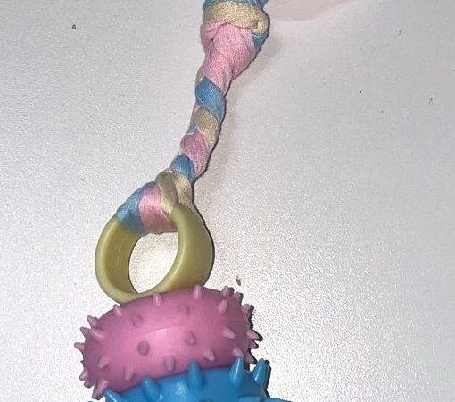 Pet Toy - 1211172