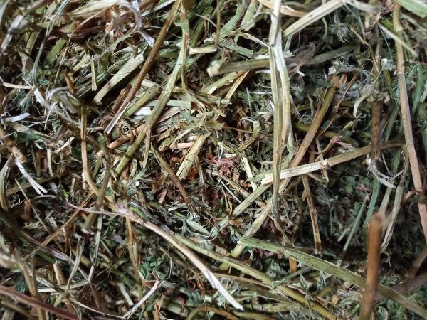 Compressed Lucern 1 kg