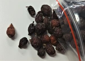 Rosehip Treats