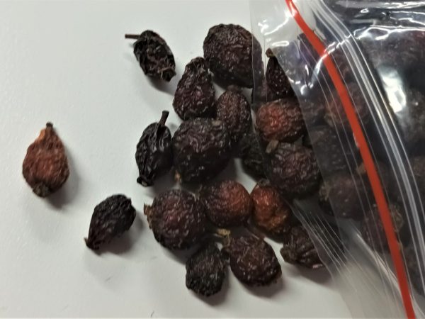 Rosehip Treats