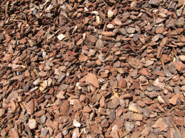 Bark Medium Chips