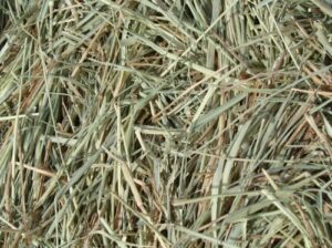 Bunny Bedding (Mixed Lucern & Hay)