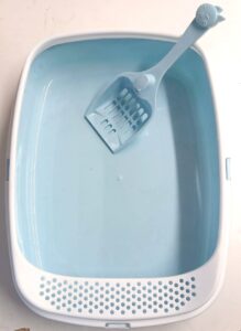 Cat Litter Box With Scoop