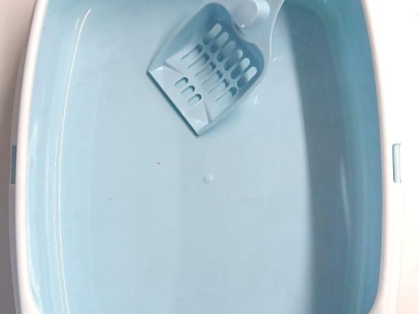 Cat Litter Box With Scoop