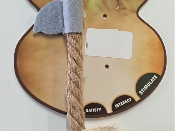 Cat Toy  613176