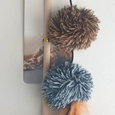 Cat Toy N613343