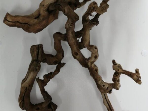 Driftwood / vine roots
