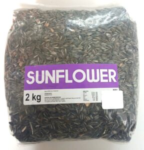 Daro Striped Sunflower Seed
