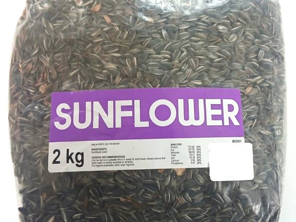 Daro Striped Sunflower Seed
