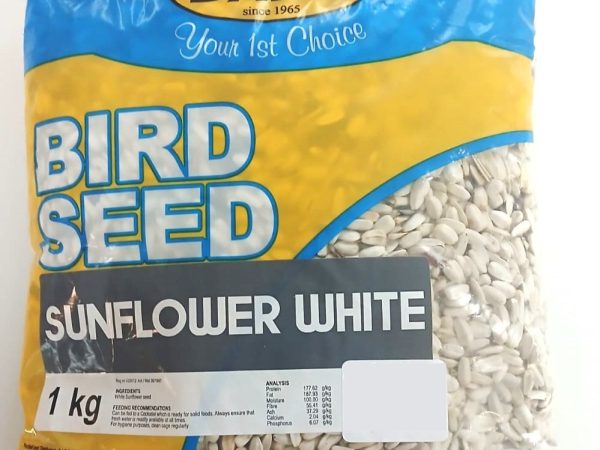 Daro White Sunflower Seed