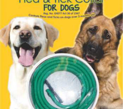 Daro Tick & Flea Collar Large Dog 66cm