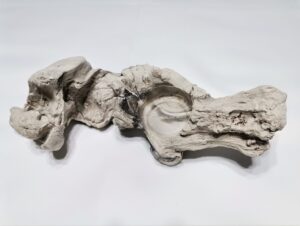 Feeding Ledge, reptile bowls