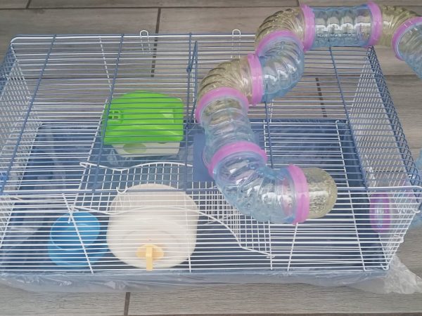 Hamster cage