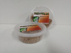 Mealworms