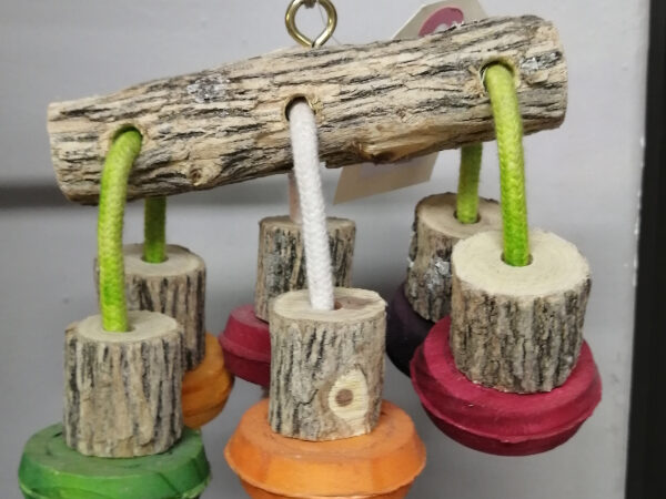Sekelbos wood spider