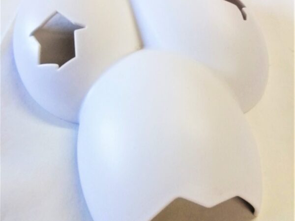 Egg Shell Hide