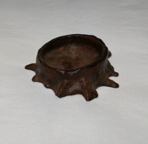 Tree Trunk Bowl Medium