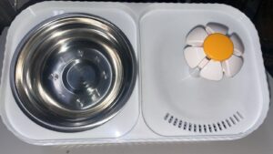Pet Feeder and Water Dispenser