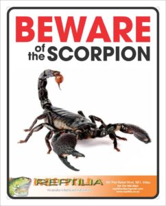 Reptilia Beware Sign - Scorpion