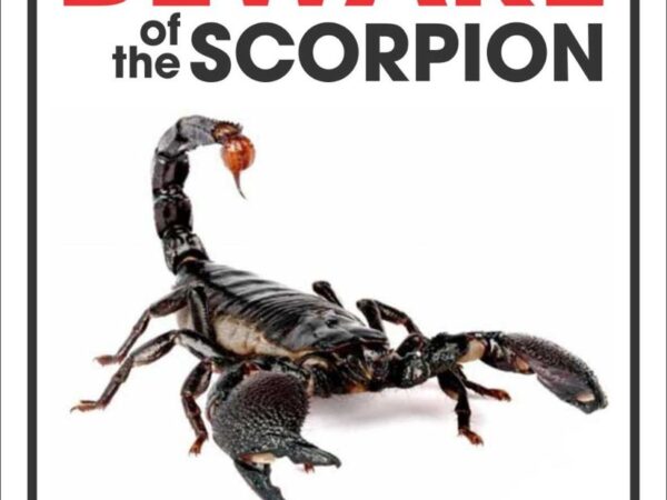 Reptilia Beware Sign - Scorpion
