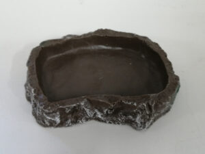 Rock Feed Bowl