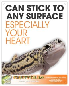 Reptilia Funny Sign - Leopard Gecko