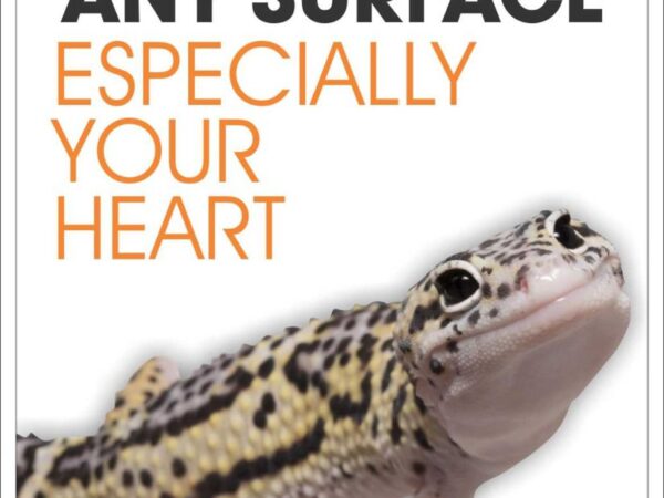 Reptilia Funny Sign - Leopard Gecko