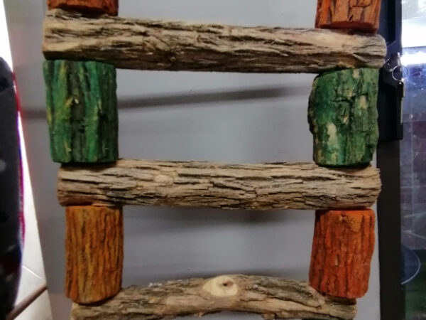 Sekelbos wood ladder