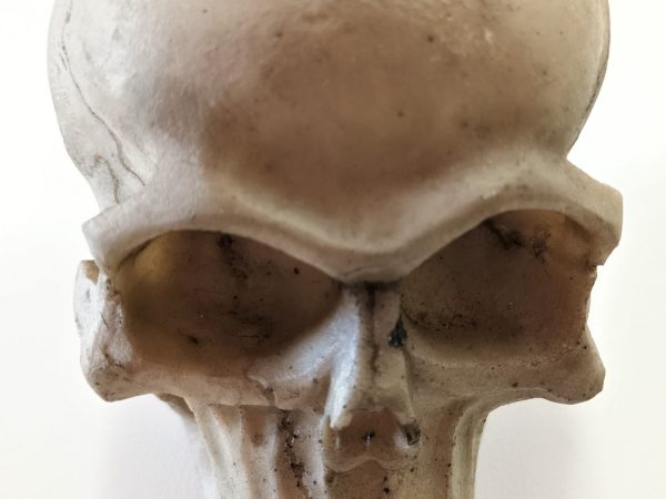 Skull