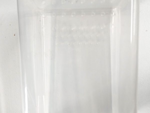 Spider Box