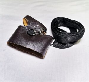 Bearded Dragon Harness