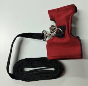 Ferret Harness