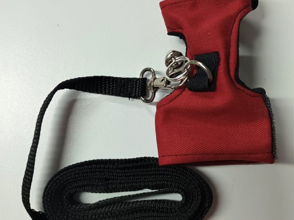 Ferret Harness