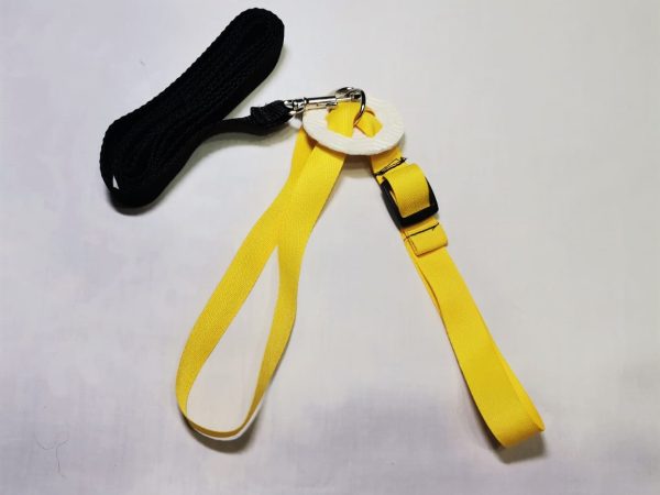Iguana Harness