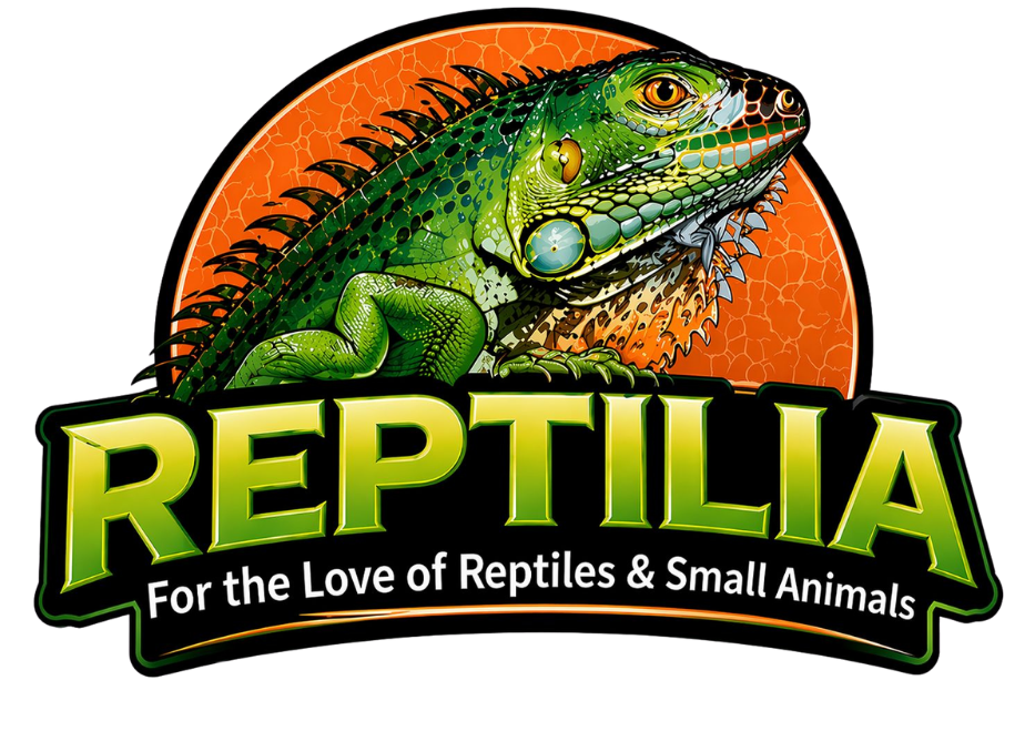 Reptilia: Your Exotic Pet Paradise