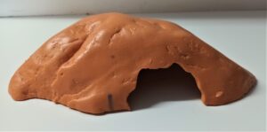 Cave Hide, reptile hides