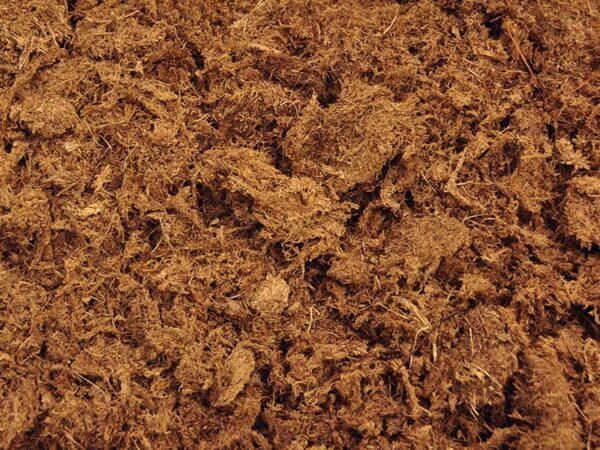 Coco Peat Moss