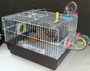 Hamster Cage - Play House